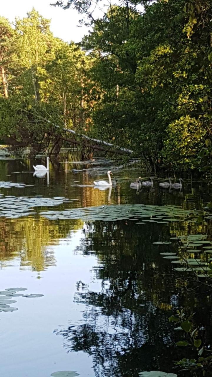 Domki Skandynawskie Kopalino Eksteriør bilde